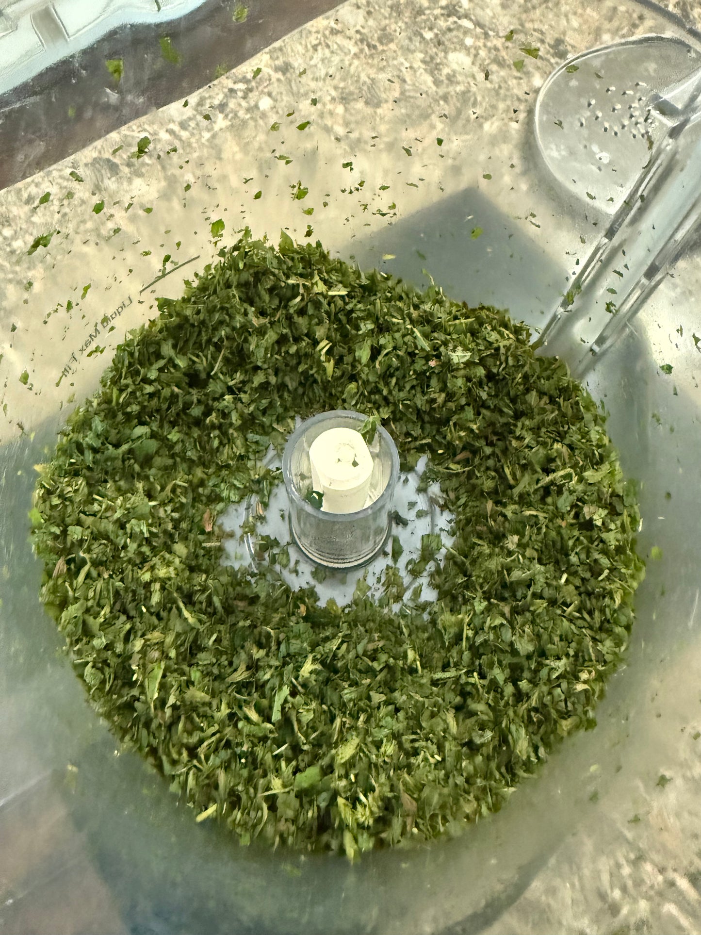 Mixed Mint Hyrdosol Mist The Earthly Vine