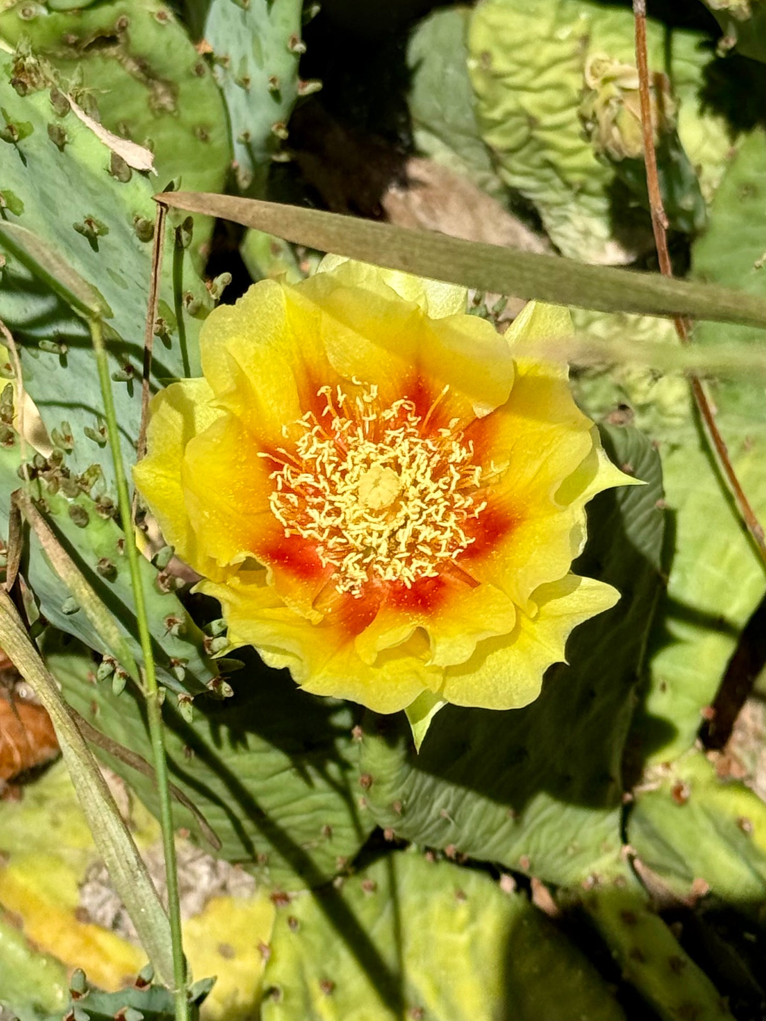 evmlookbook_expertvillagemedia