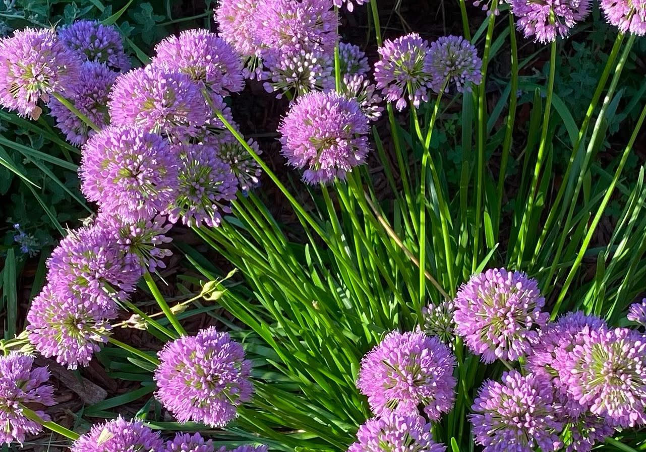 evmlookbook_expertvillagemedia