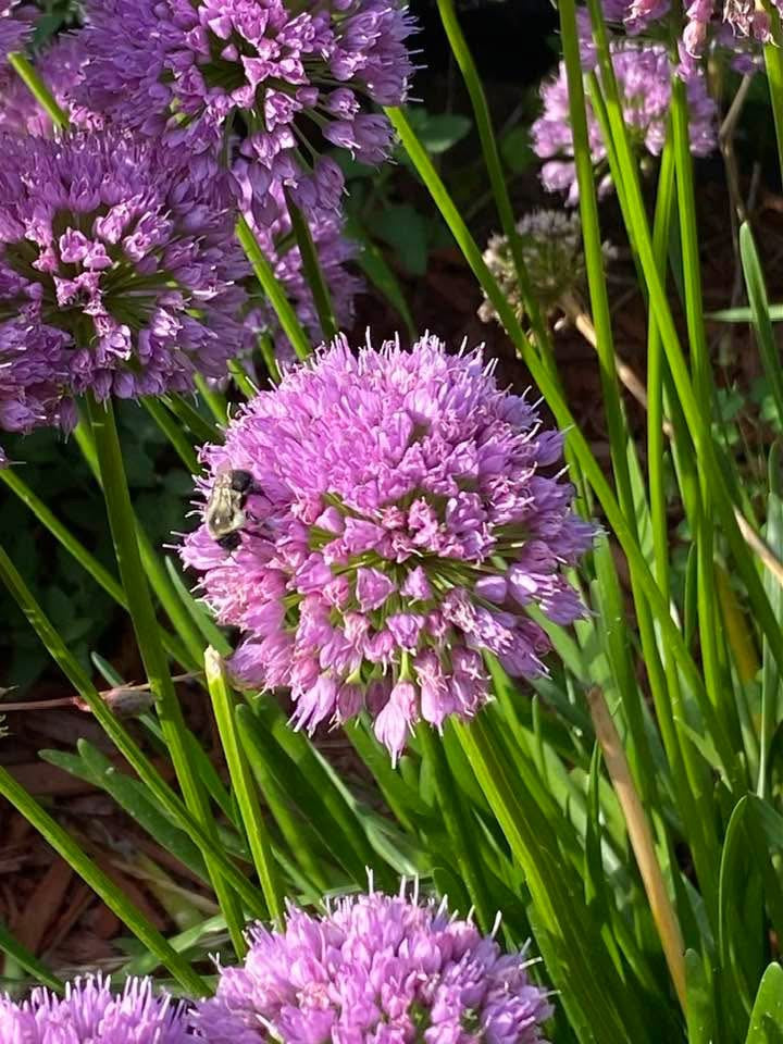 evmlookbook_expertvillagemedia