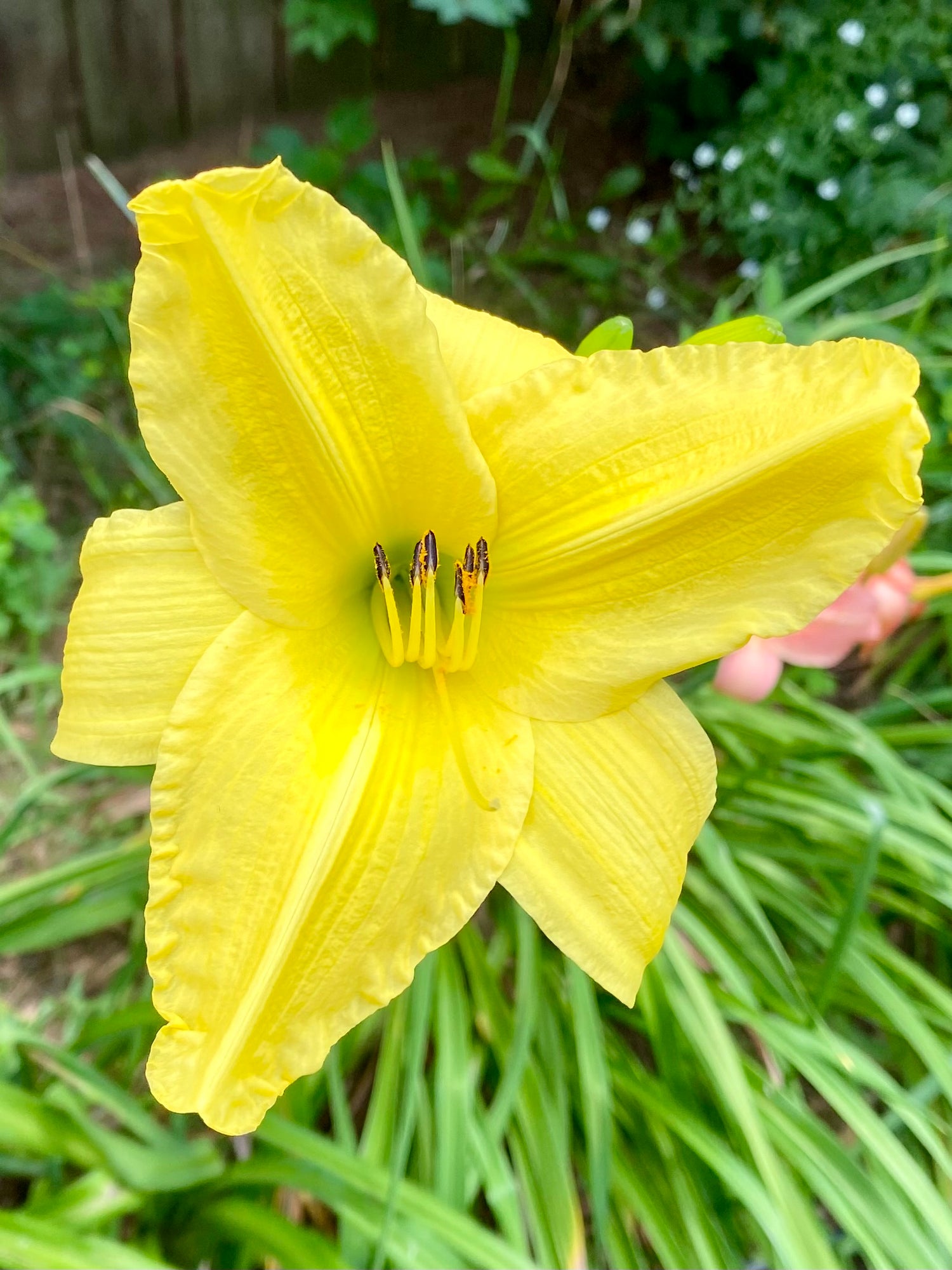 evmlookbook_expertvillagemedia