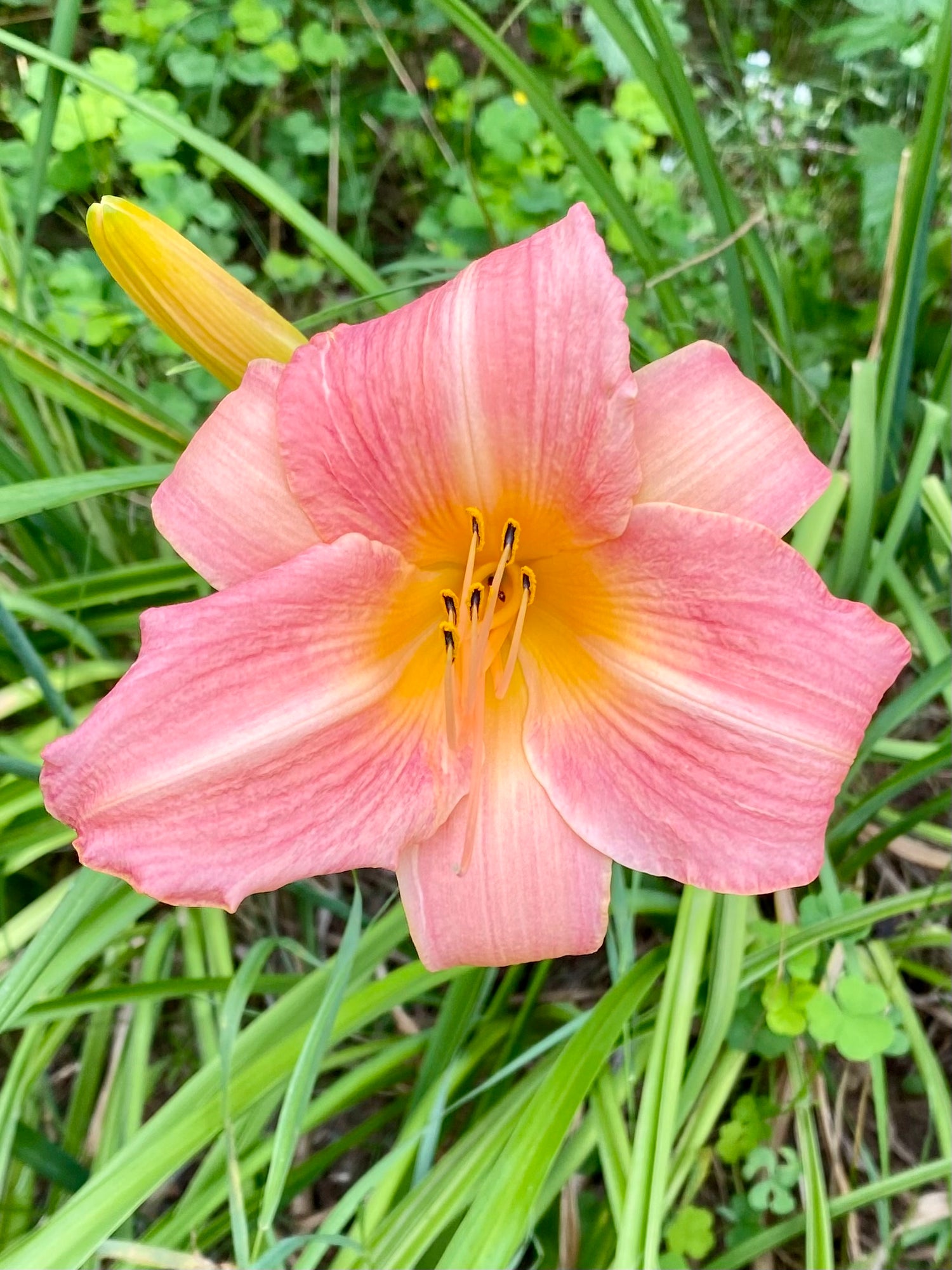 evmlookbook_expertvillagemedia