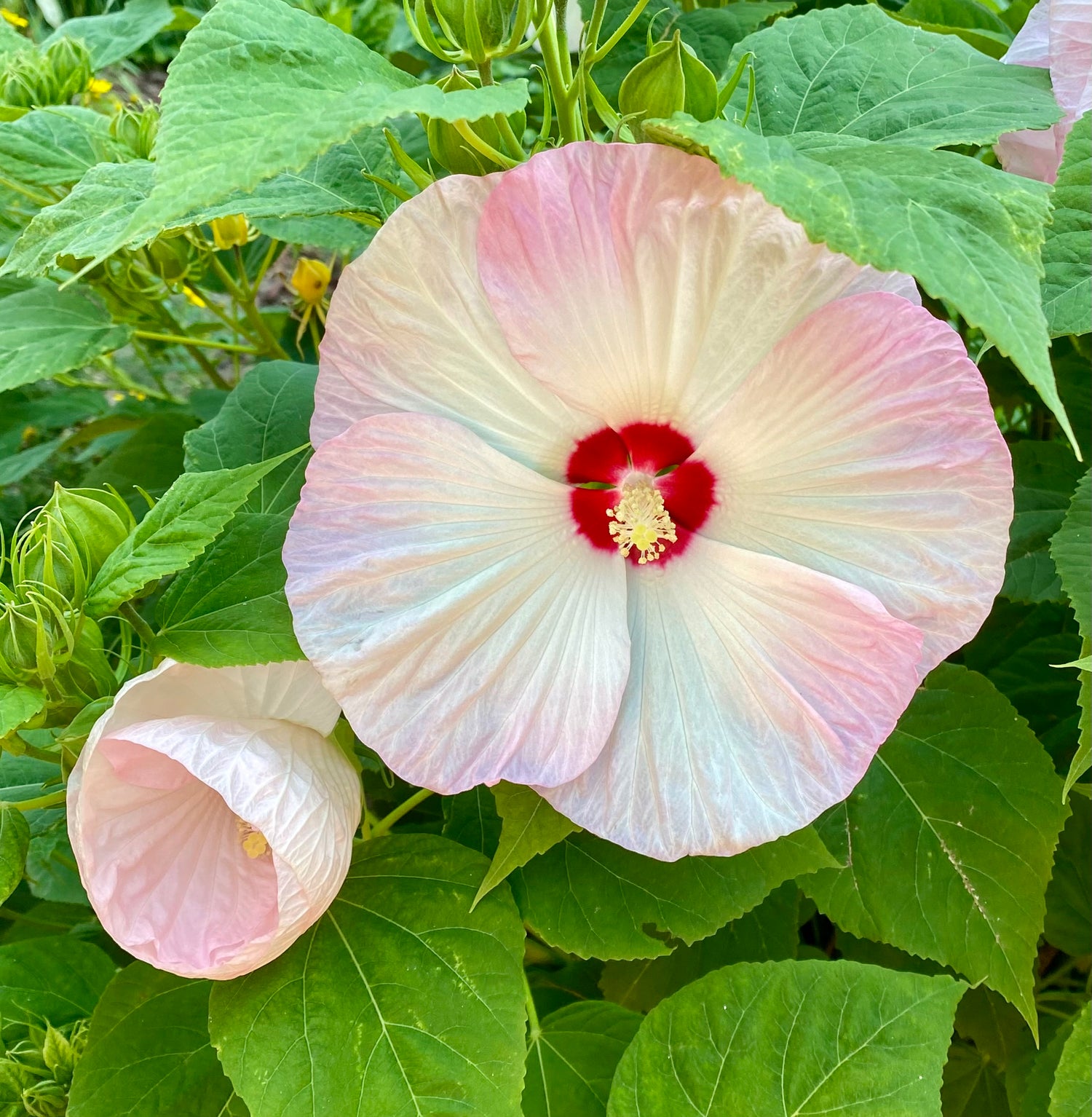 evmlookbook_expertvillagemedia