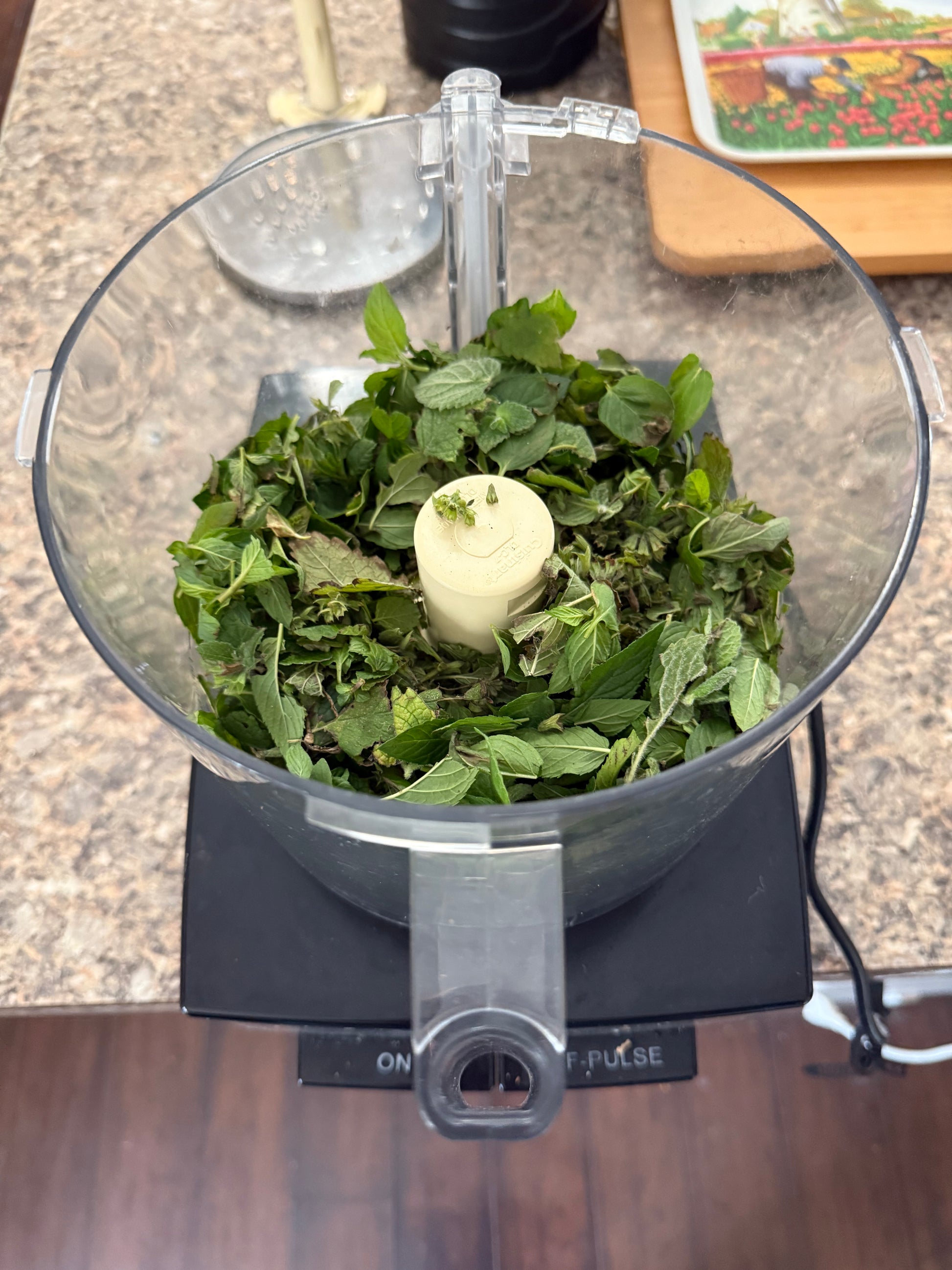 Mixed Mint Hyrdosol Mist The Earthly Vine