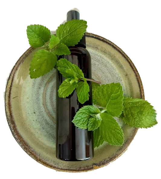 Mixed Mint Hyrdosol Mist The Earthly Vine