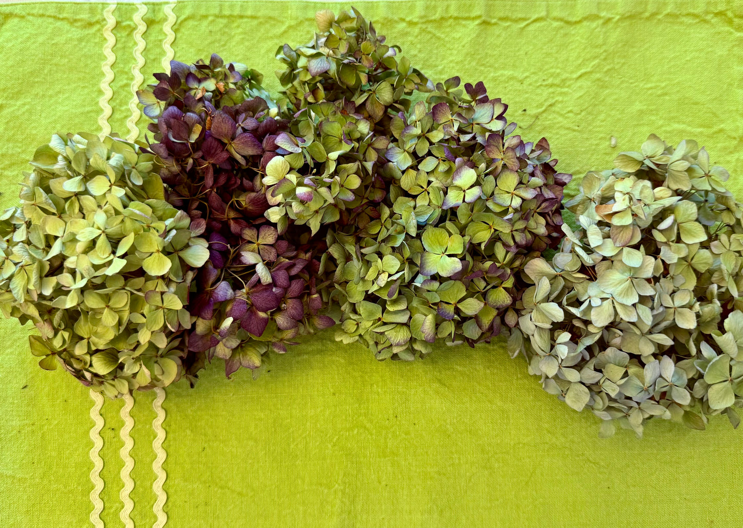 Dried Hydrangea Flowers in Purple & Green – Natural Home Decor The Earthly Vine
