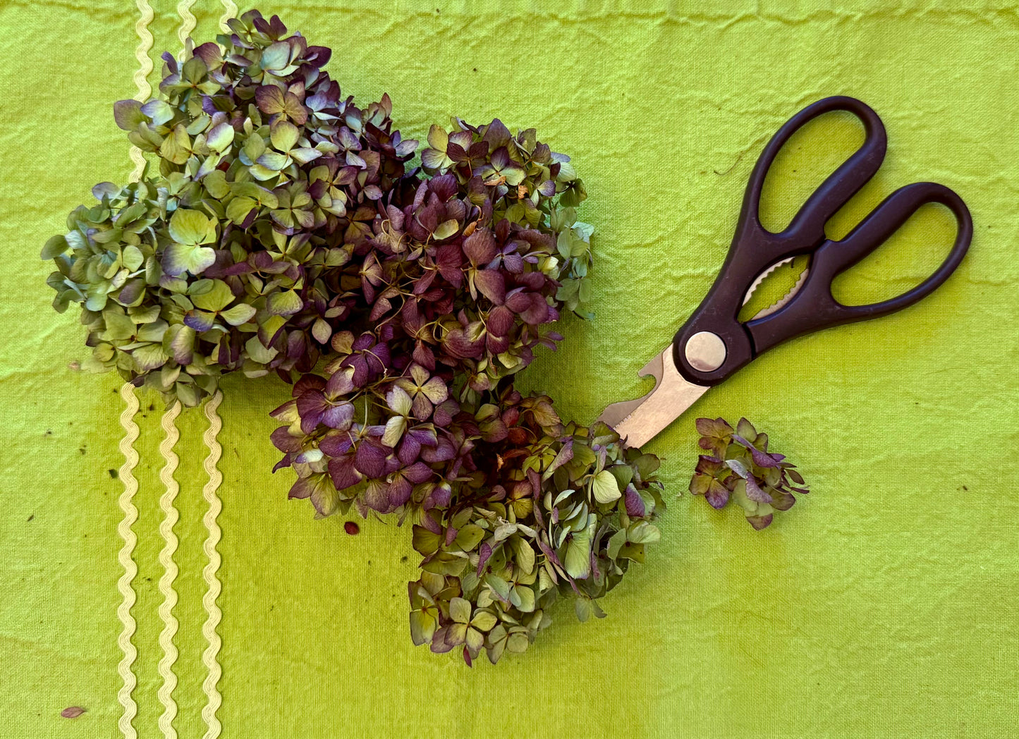 Dried Hydrangea Flowers in Purple & Green – Natural Home Decor The Earthly Vine
