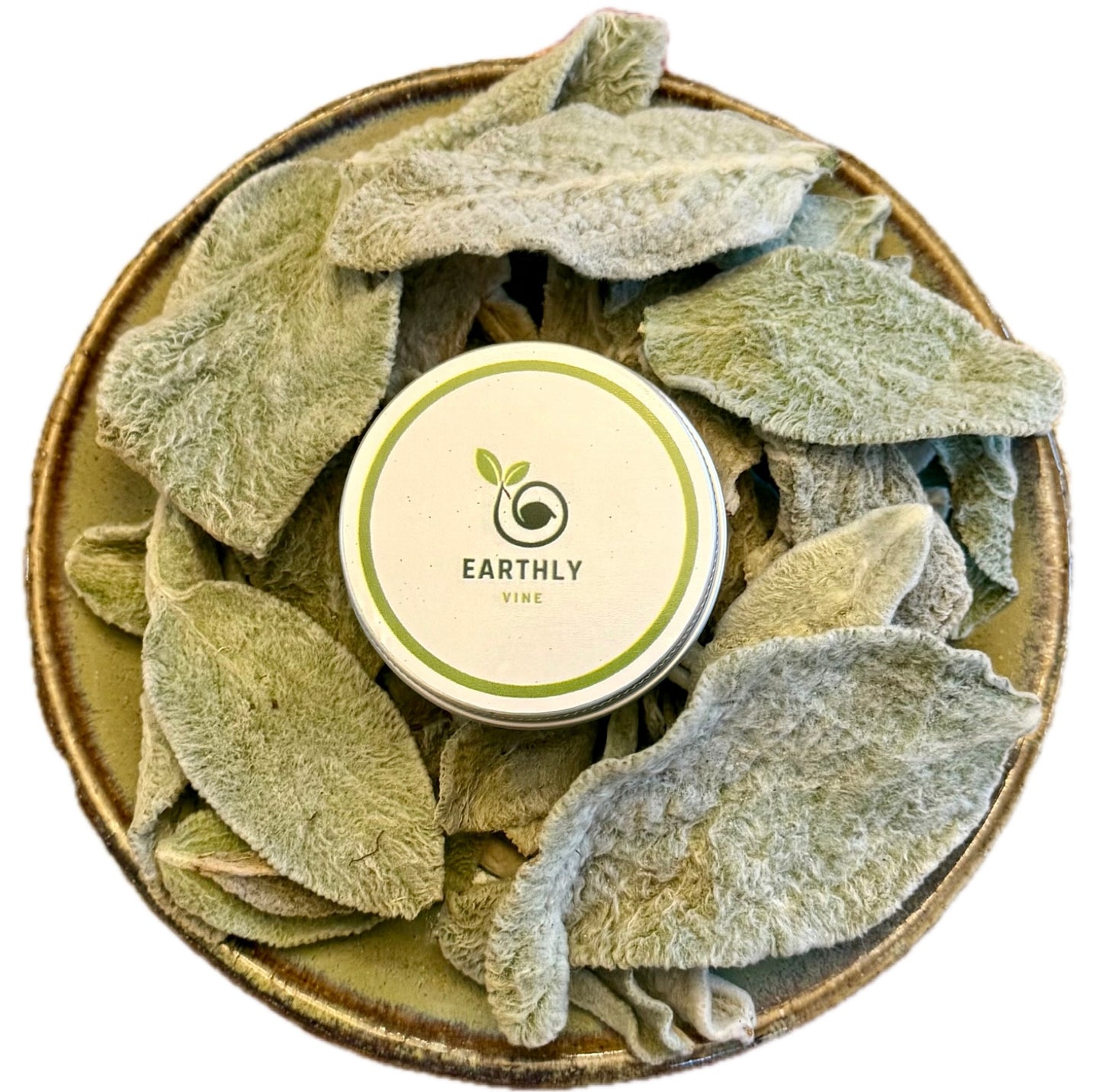All Natural Lamb's Ear Salve The Earthly Vine