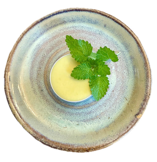All Natural Lemon Balm Salve and Lip Balm The Earthly Vine